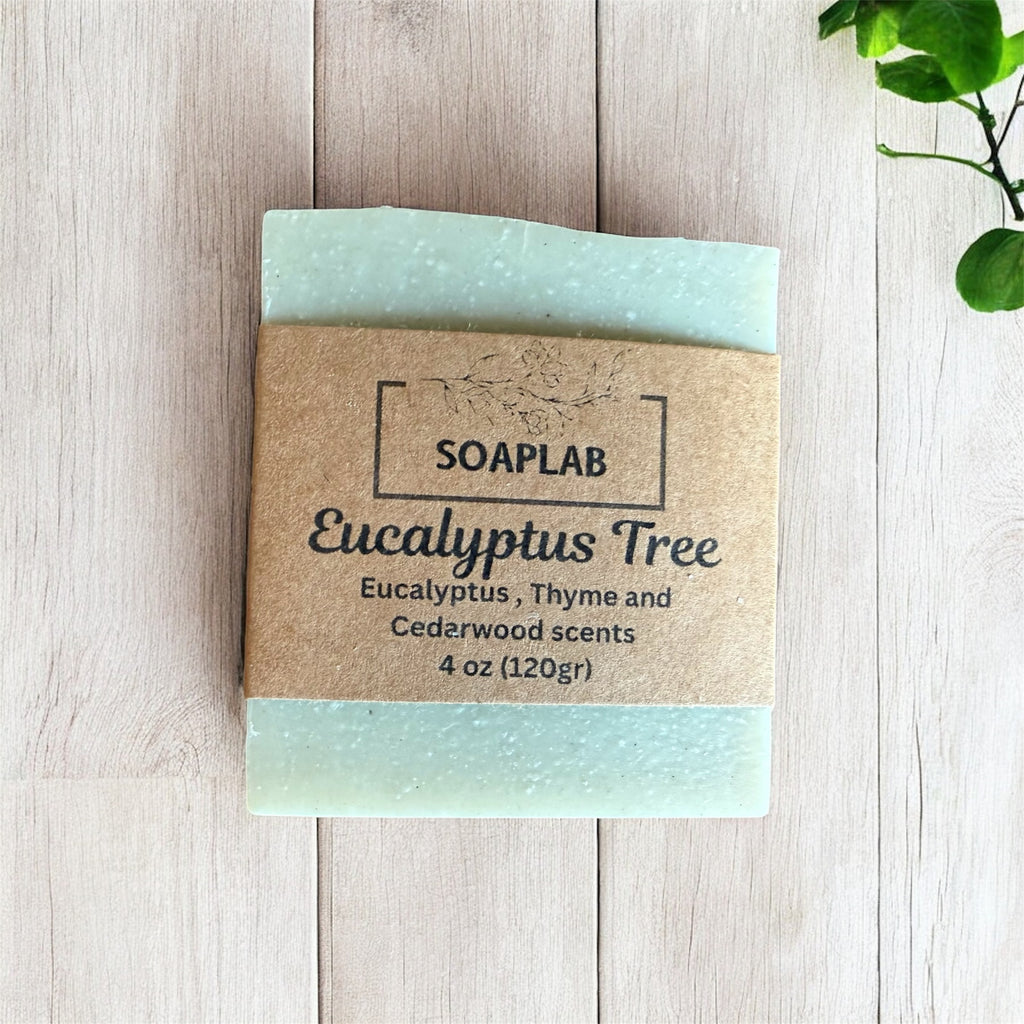 Eucalyptus Tree