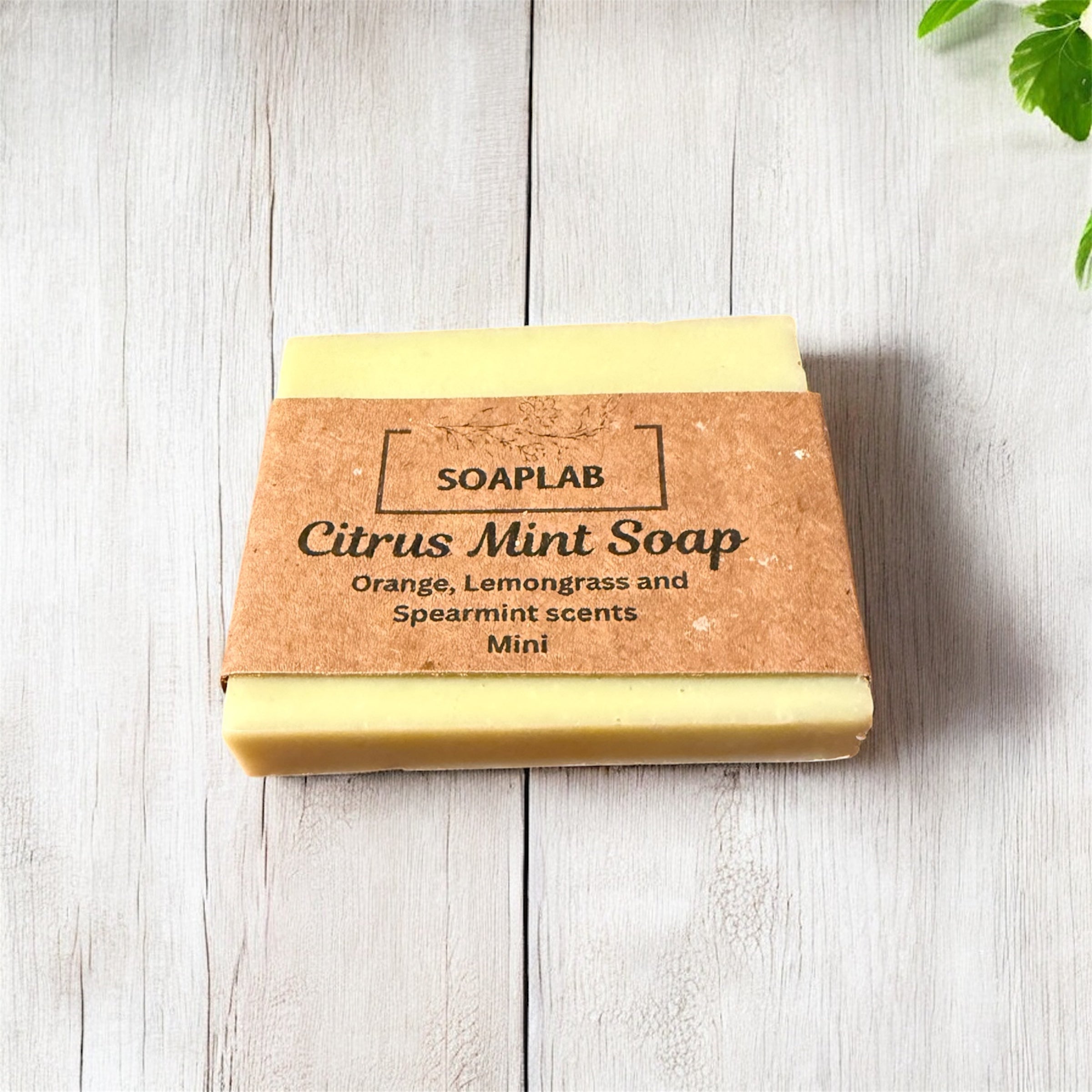 Citrus Mint Soap - Mini